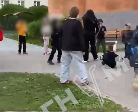 ФОТО: кадр видео regnum.ru