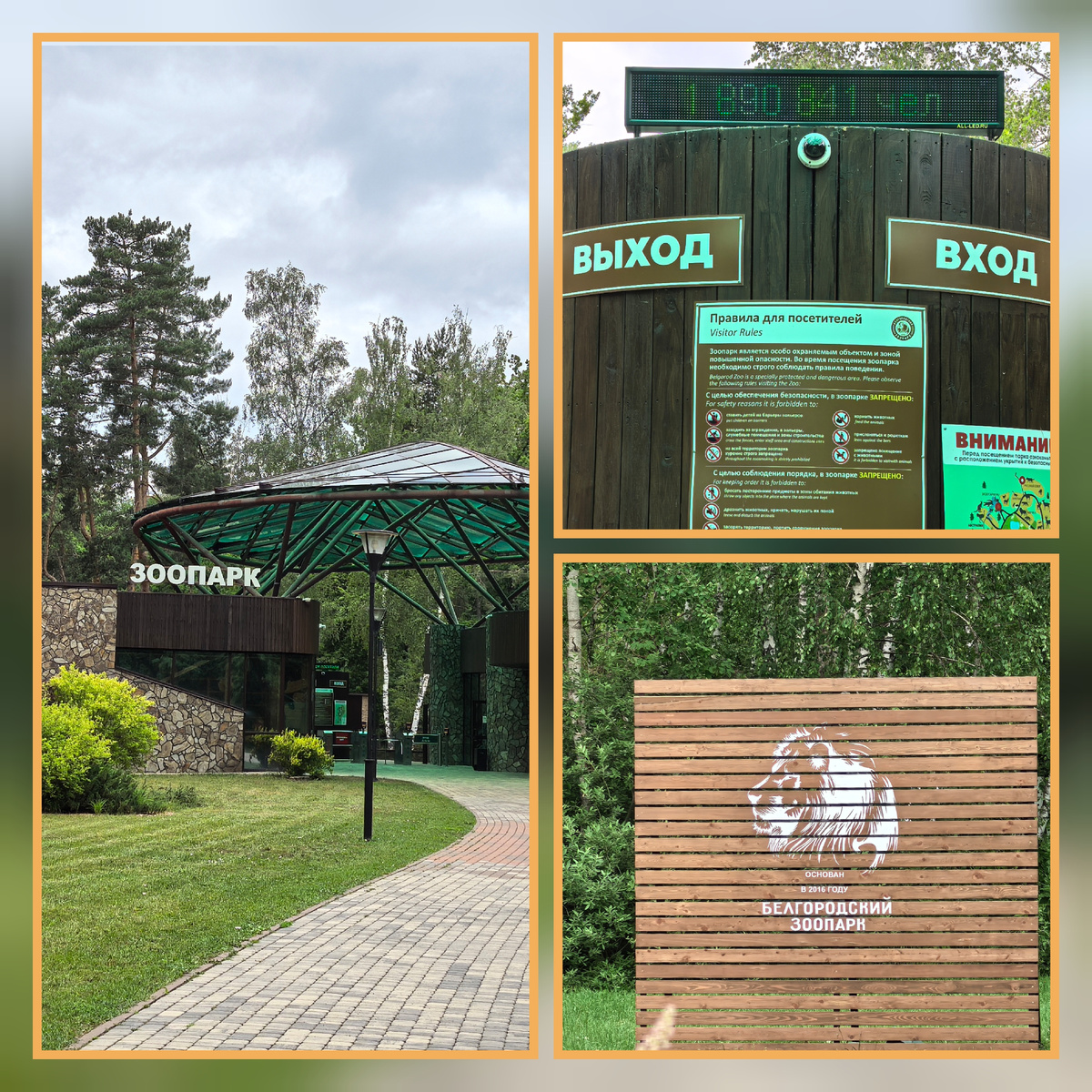 Входная группа.