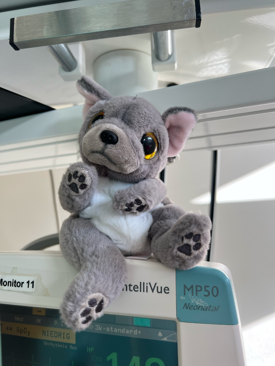 Полина родилась самой маленькой — всего 620 грамм, поэтому мы выбрали для неё крошечного мышонка. Сейчас она называет его Пэпэ 🐭💕