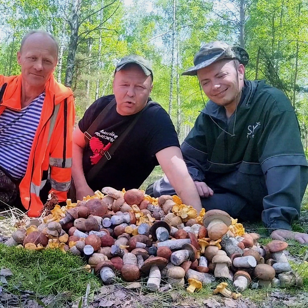 Грибные войска Беларуси 17.06.25. фото Александра Шевцова ( он в центре) Справа - грибной гений Горбацевич (Скайфорест)
