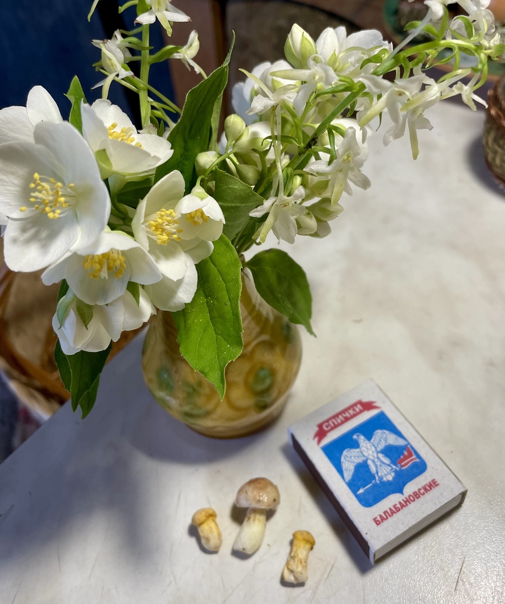 Фото Потапочка 17.06.25