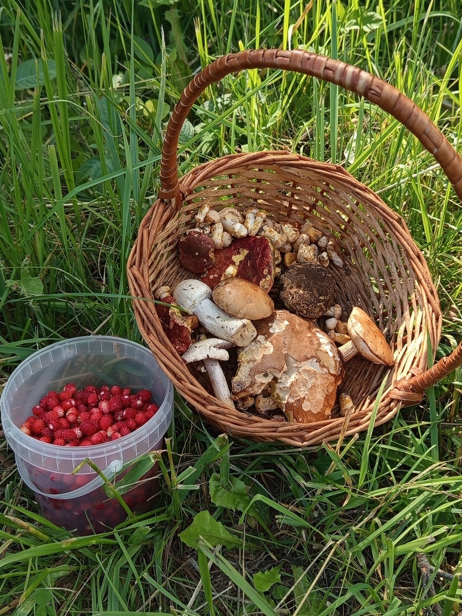 Фото сергей п. 17.06.25