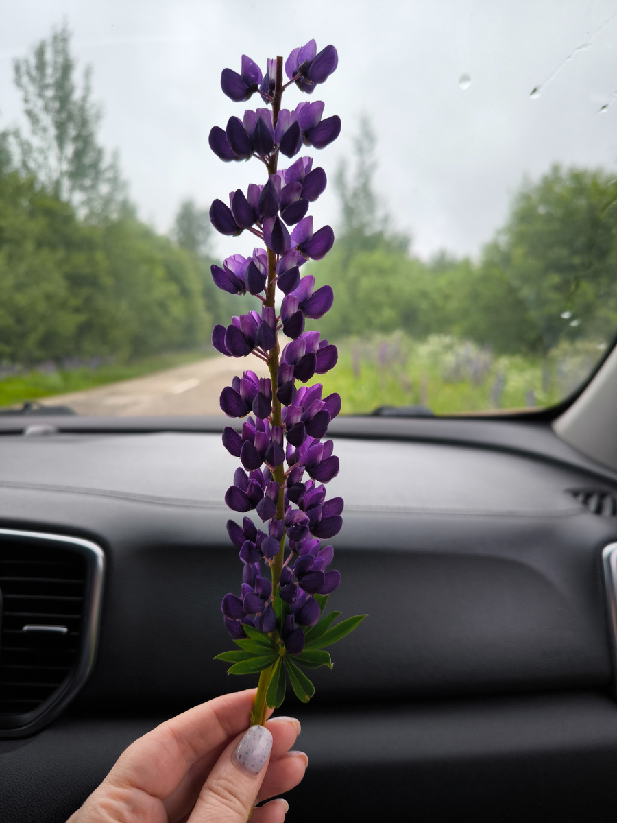 Личное фото