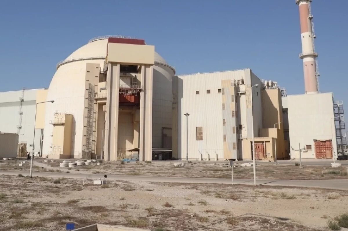    Эксперт ООН Никулин: удар по АЭС в Бушере даст эффект второго Чернобыля