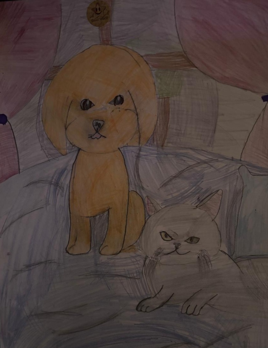 Чубака (пудель) и Симба (кот)