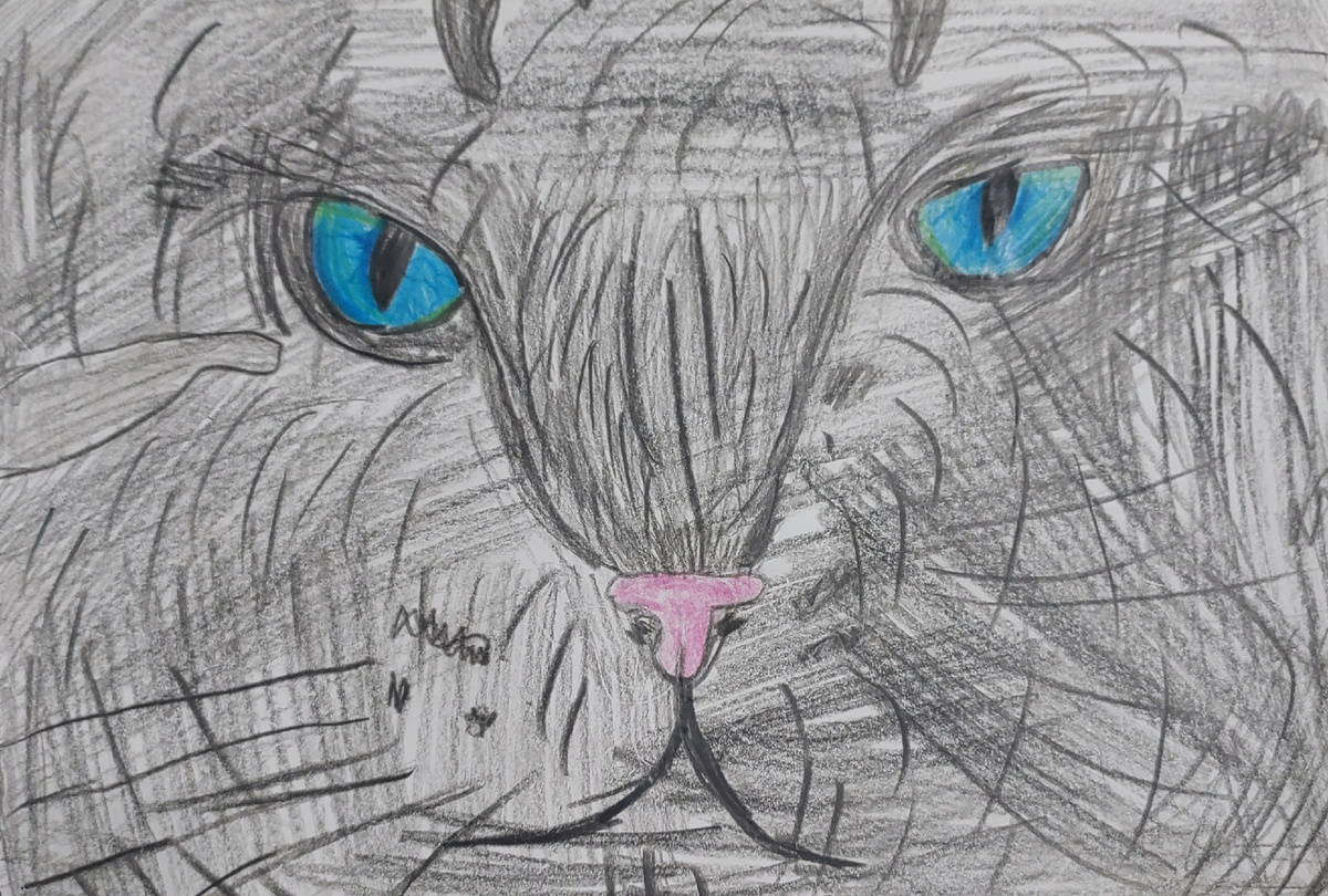 Кот с голубыми глазами