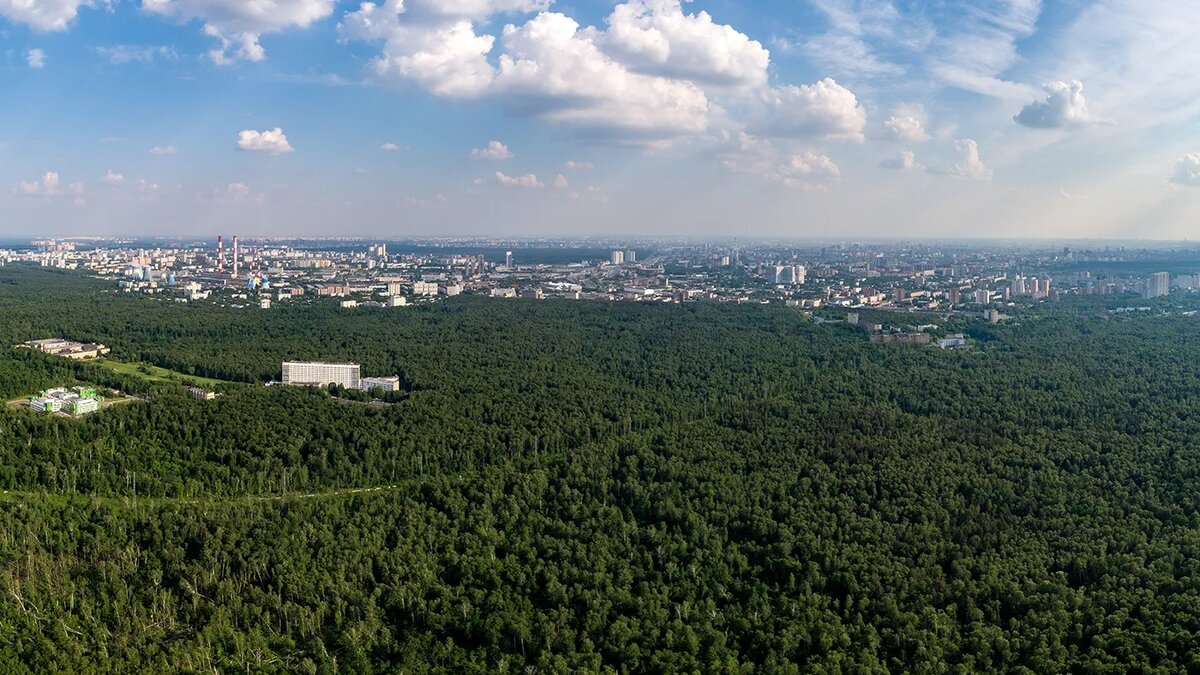   Дмитрий Серебряков / ТАСС