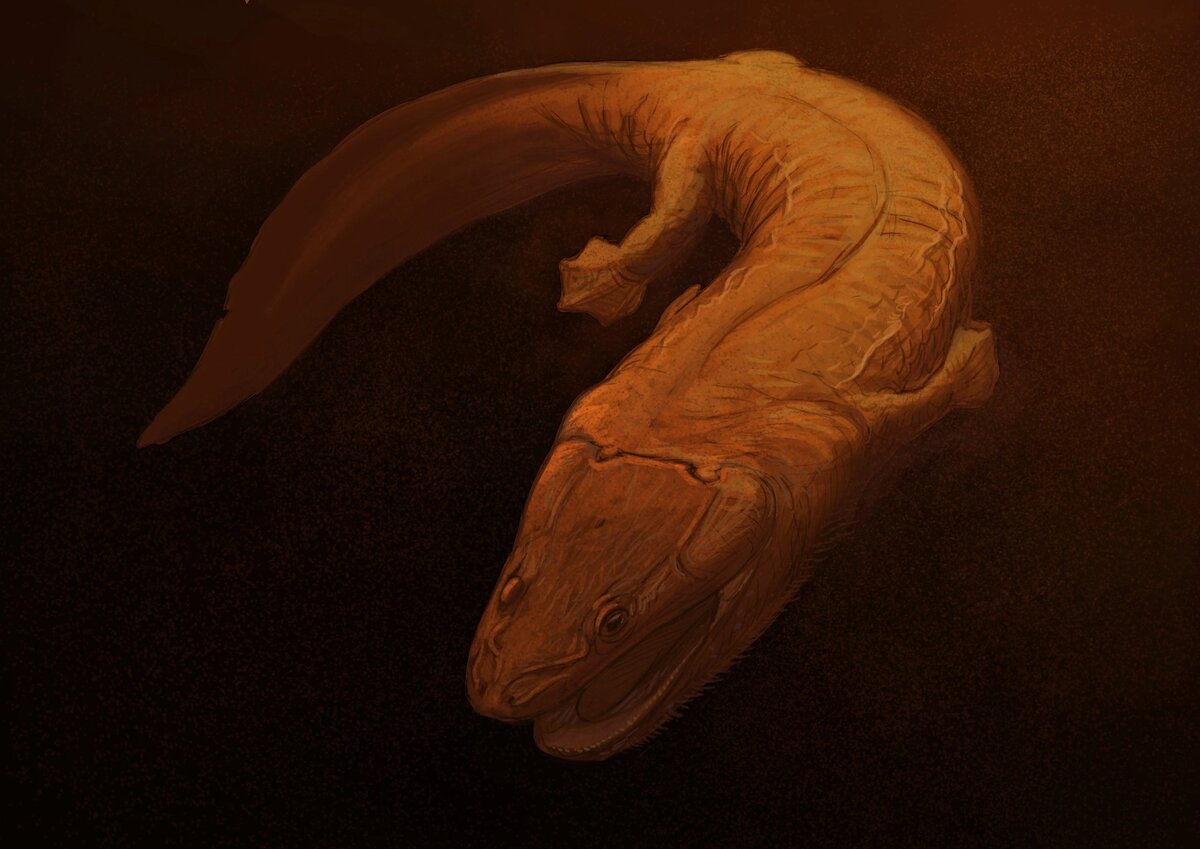 Коскинонодон от Джошуа Кнуппе.