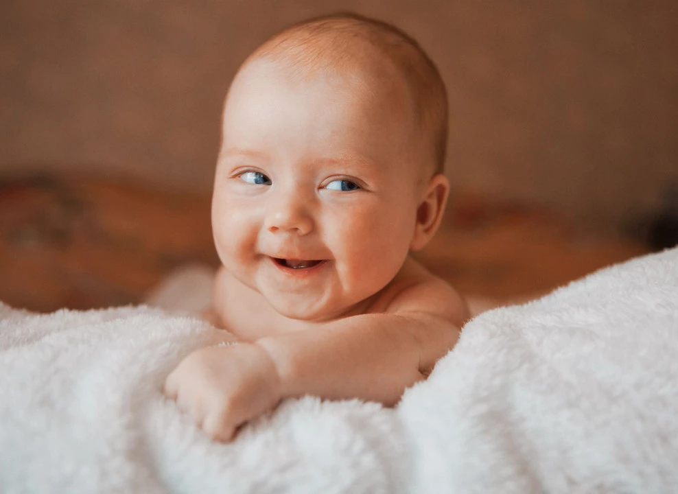 Фото: Chernysheva Anna | Shutterstock | Fotodom