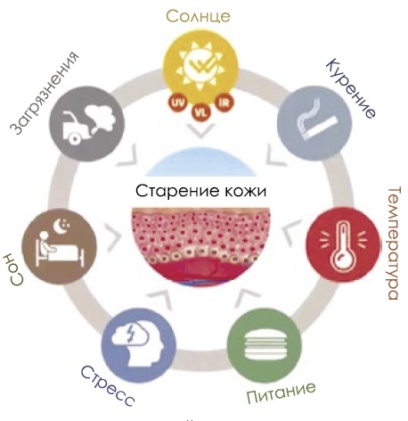 На кожу и ее состояние влияет множество факторов 