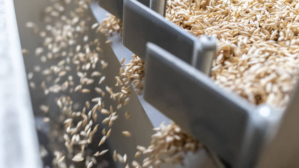 Фото: Игорь Елисеев / Коммерсантъ