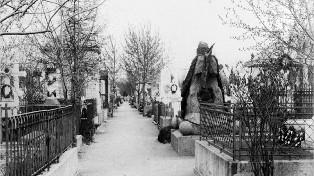     Некрополи Петербурга. Адамовы головы, холерные кладбища и Гром-камень Елена Исупова