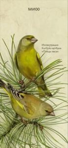     Обои для телефона — с иллюстрациями из книг МИФа. Июнь 2025 Антон Бахарев