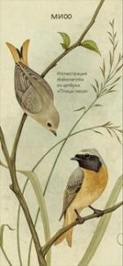     Обои для телефона — с иллюстрациями из книг МИФа. Июнь 2025 Антон Бахарев