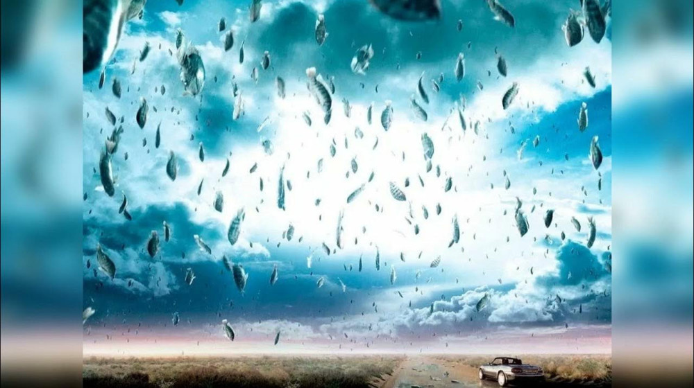    Рыбы и лягушки падают с неба ТОП-5 самых шокирующих случаев в истории