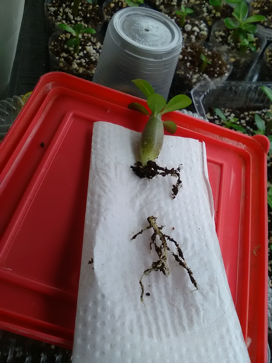 После операции