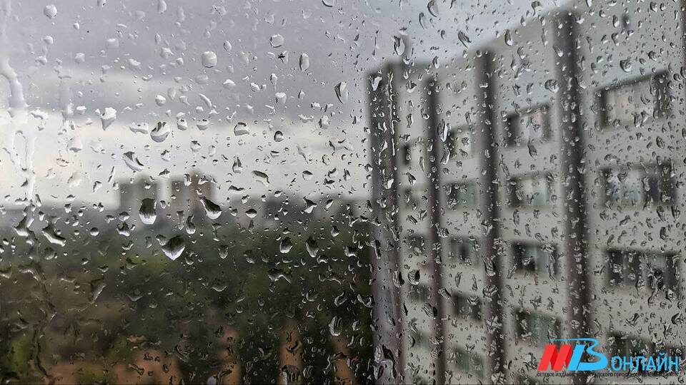    Фото: МТВ.ОНЛАЙН / Елизавета Денисова