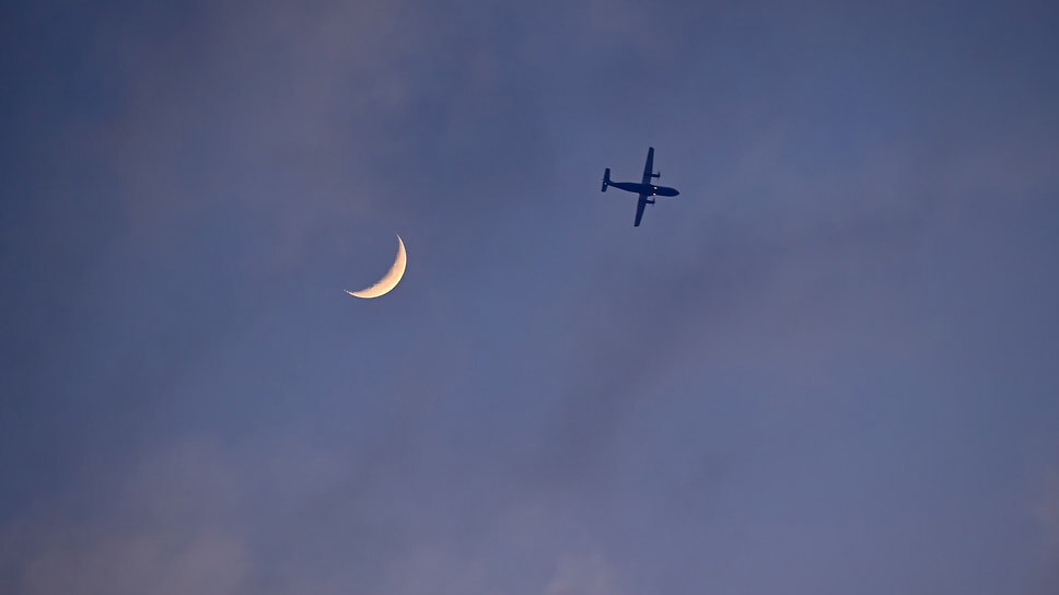 Фото: Александр Паниотов / Коммерсантъ