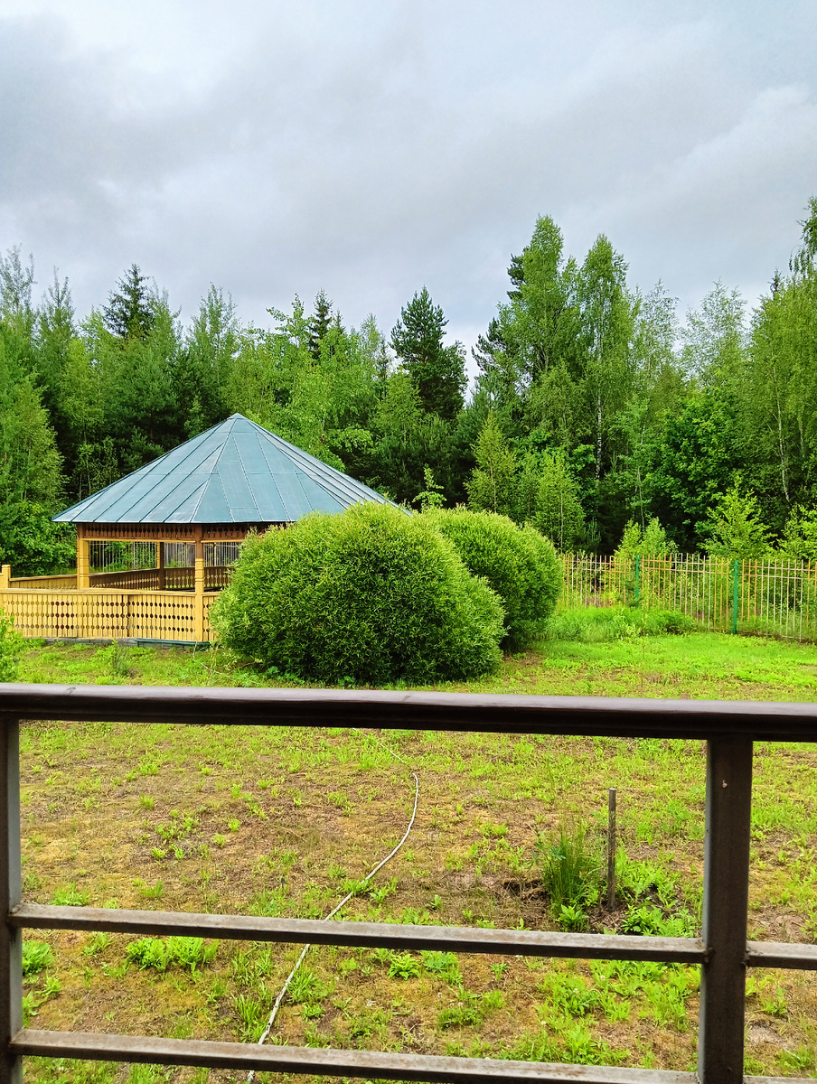 Вид из домика