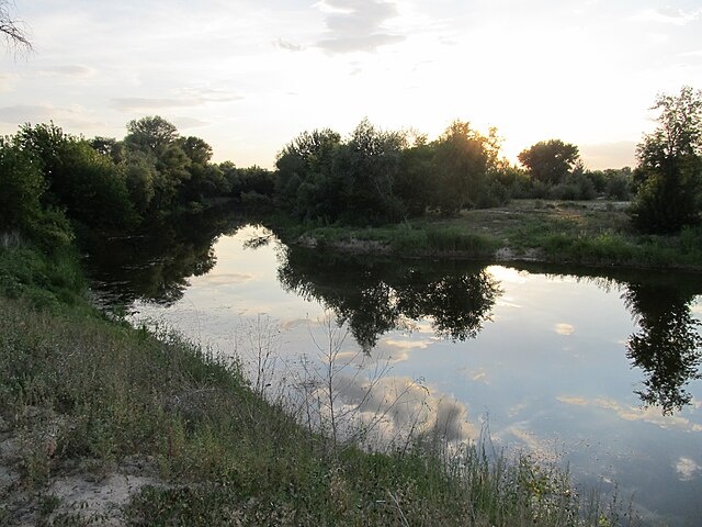 Река Иловля в июле. Фото из свободных источников в Интернете.