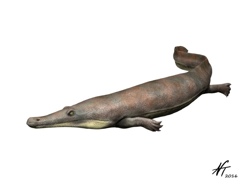 Гиперокинодон, иллюстрация.