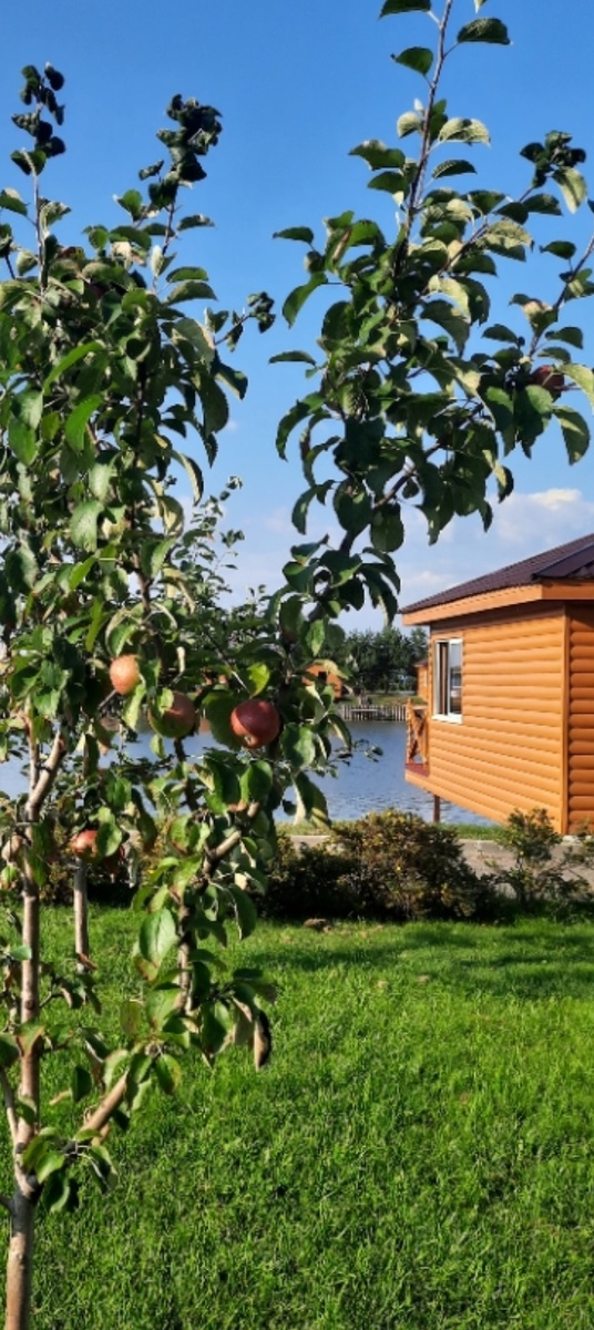 Очень приятно и красиво