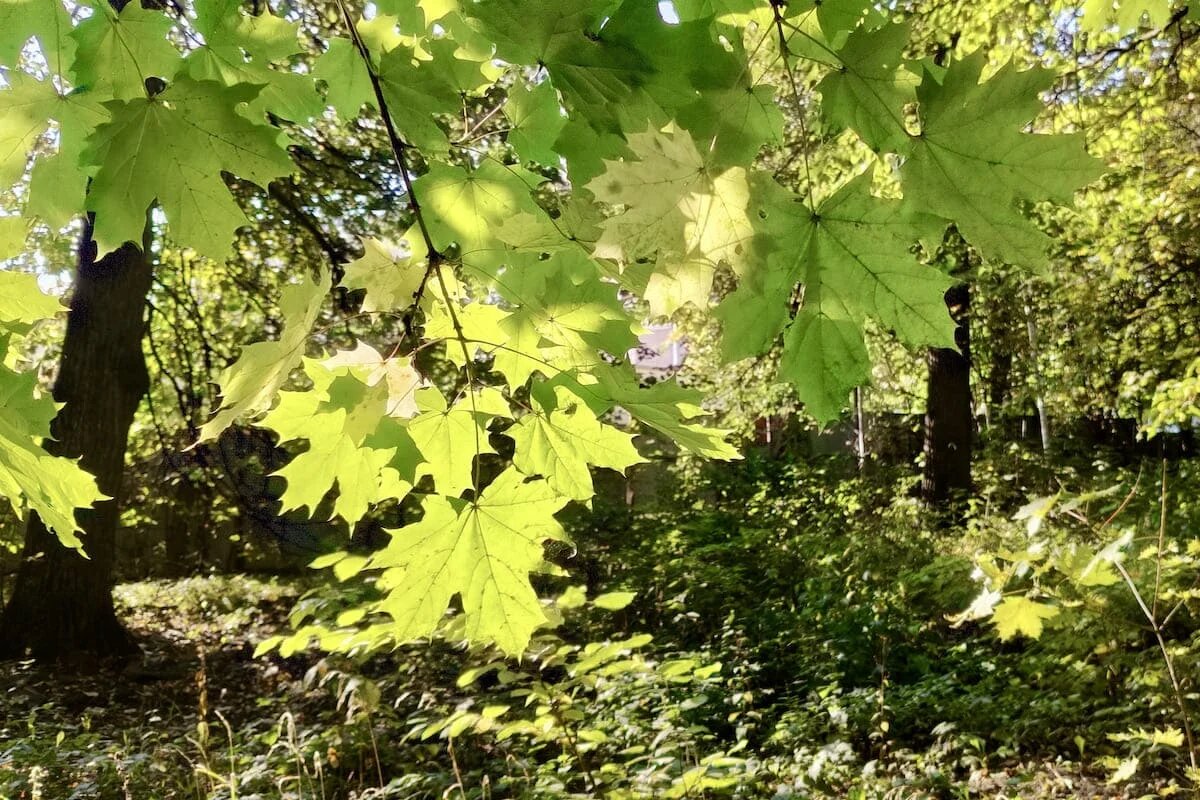 Фото: UfacityNews.ru