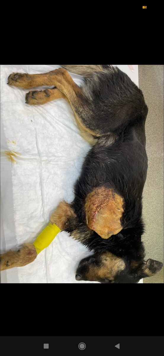 Ещё под наркозом