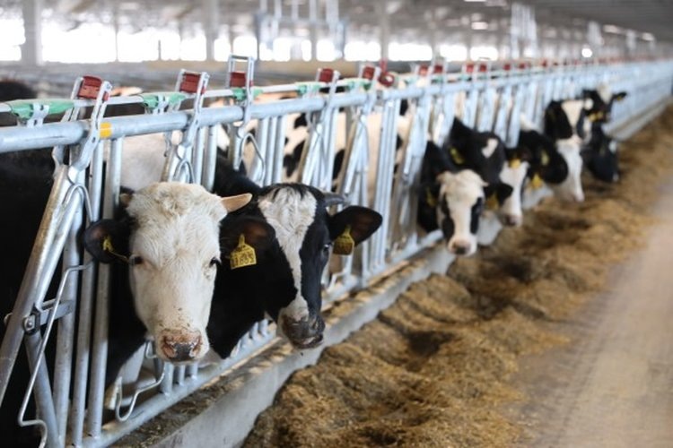    Фото: Правительство Ярославской области