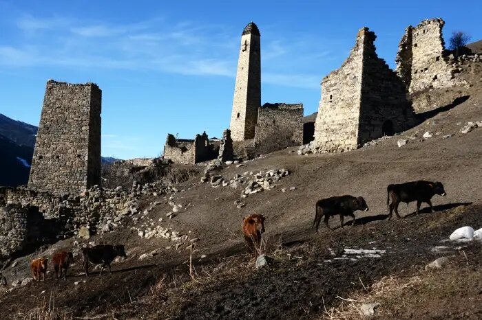     © РИА Новости. Саид Царнаев