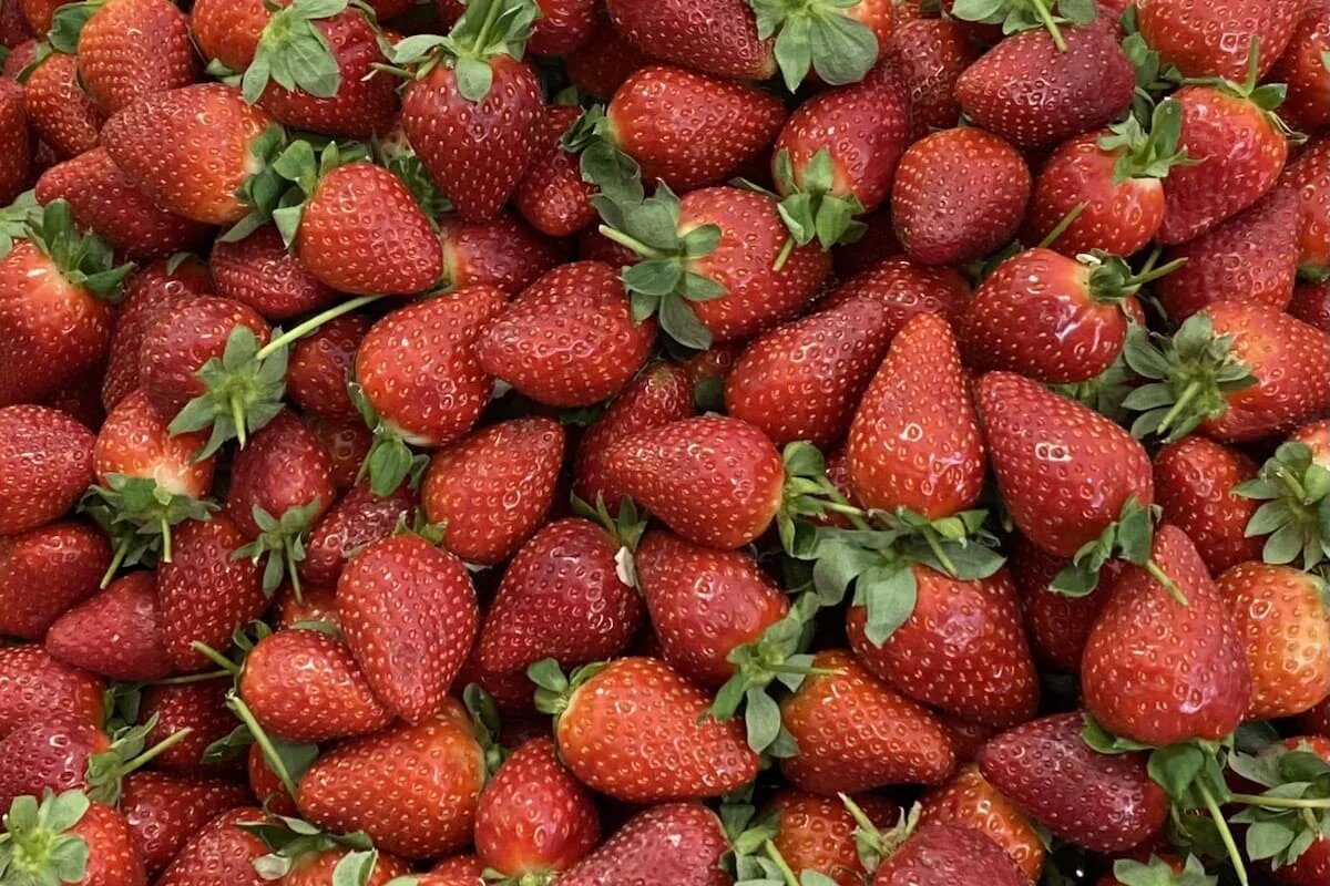 Фото: UfacityNews.ru