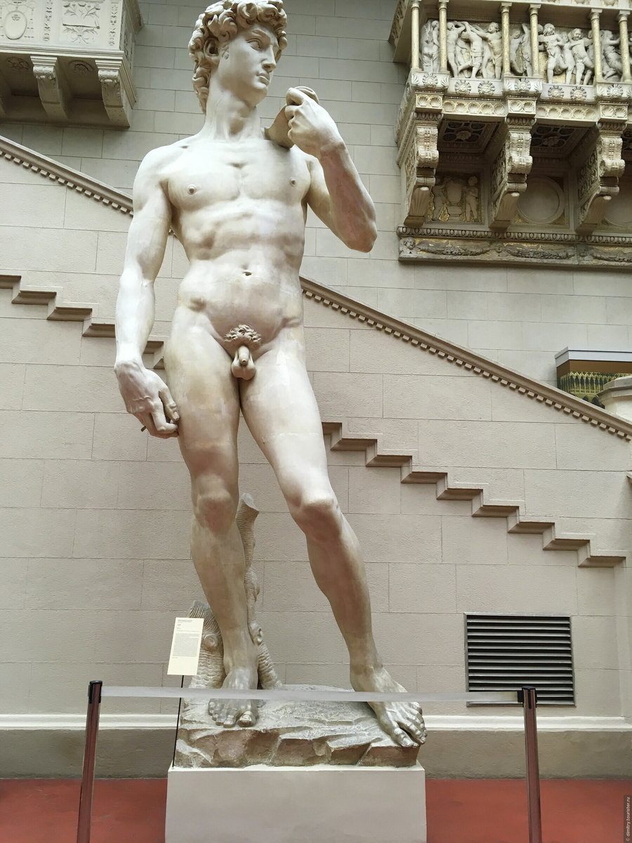 Давид Микеланджело (ГМИИ им. А.С. Пушкина). Слепок. Гипс