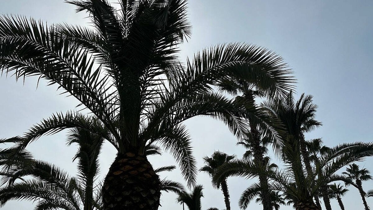    Фото: «Телеканал Краснодар»