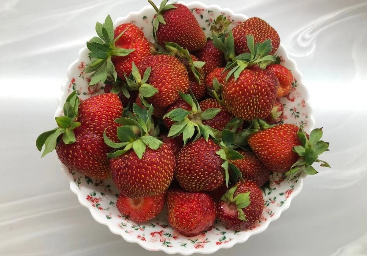 Фото: UfaTime.ru