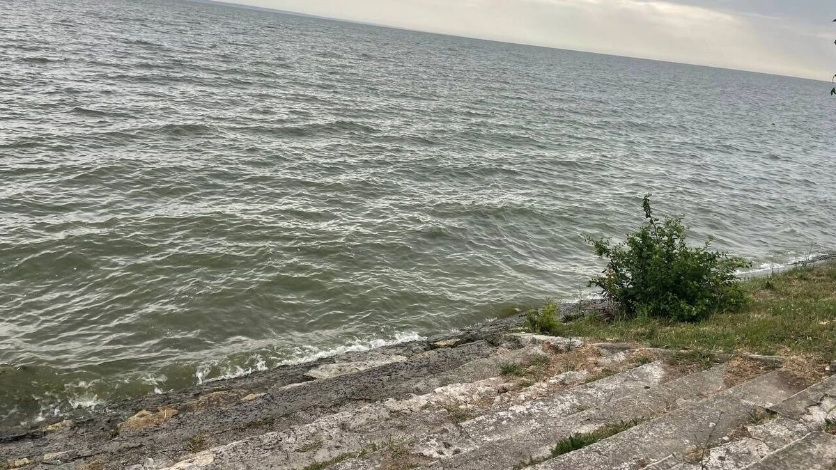     Источник: rostovgazeta.ru