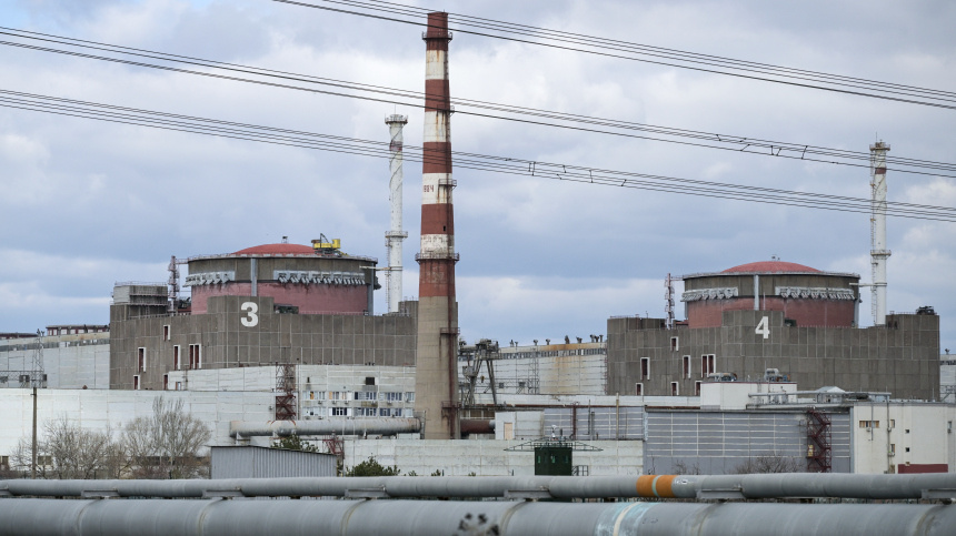    Фото: © РИА Новости/Константин Михальчевский; 5-tv.ru