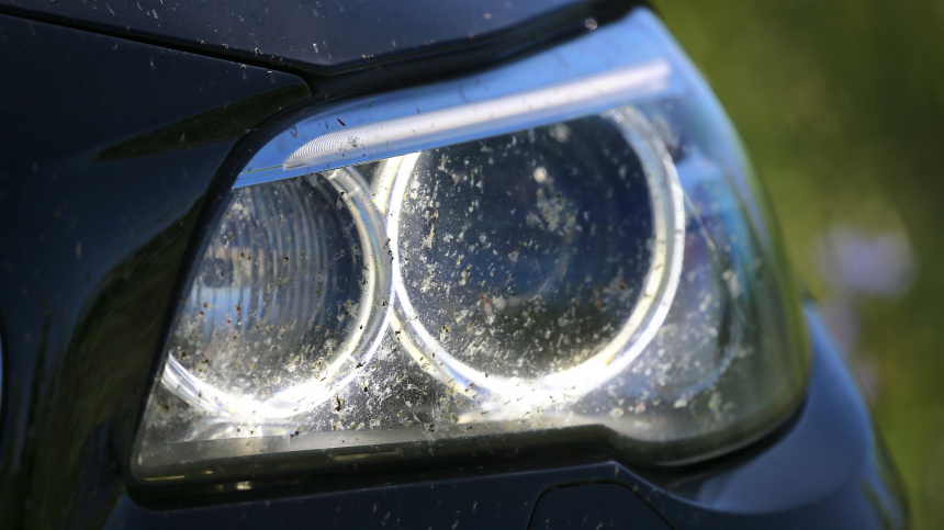    Фото: www.globallookpress.com / Karl-Josef Hildenbrand