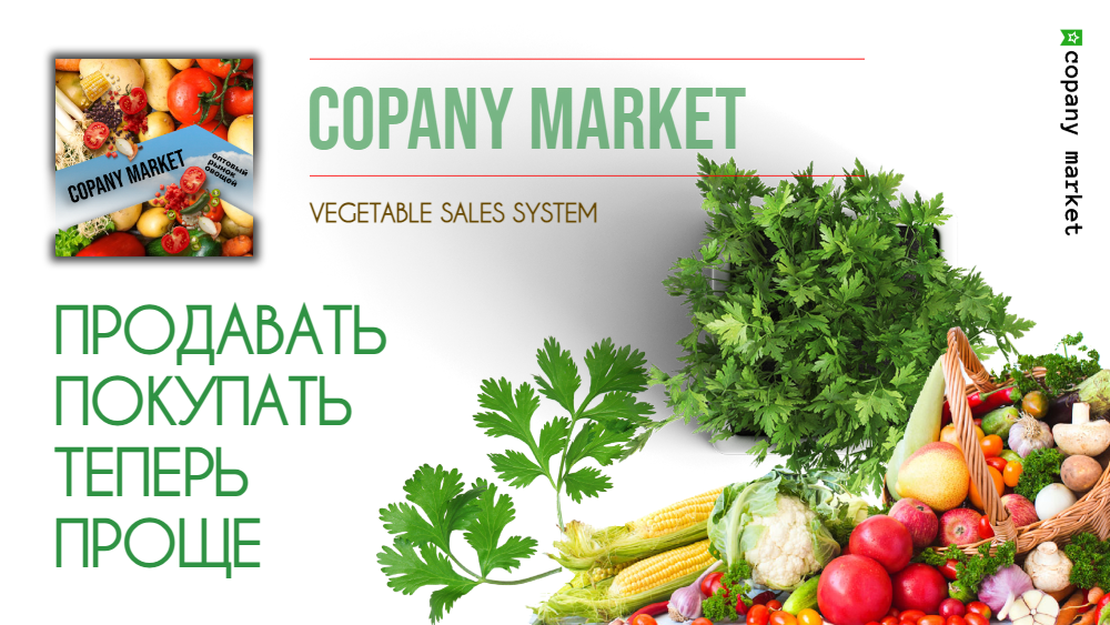 Цены на рынке Великие Копани:  19.06.2025г. Copany Market Premium