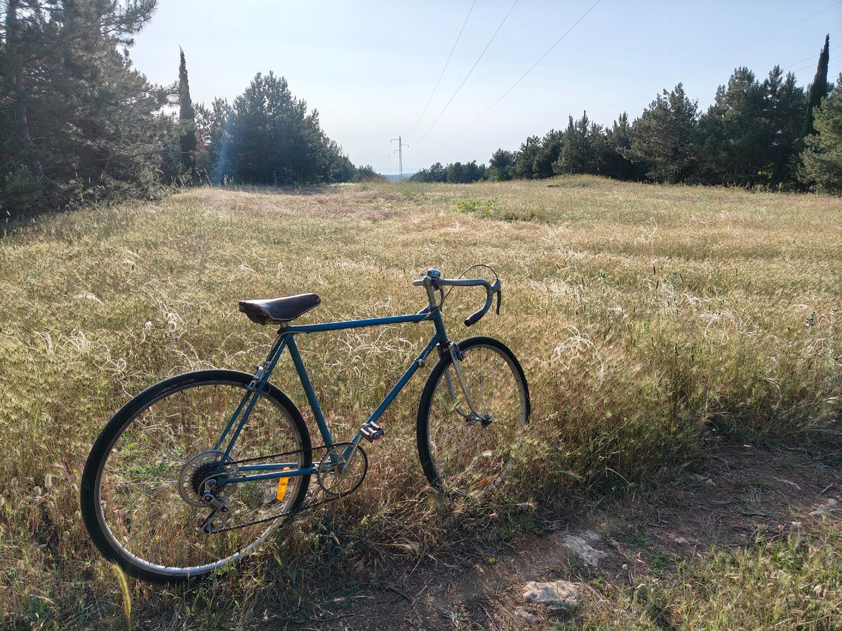 все в отпуск на велопрогулку по полям и лесам!