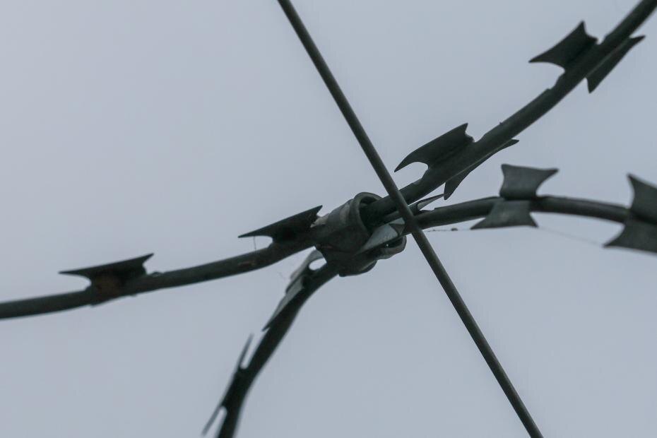    Алексей Белкин/NEWS.ru