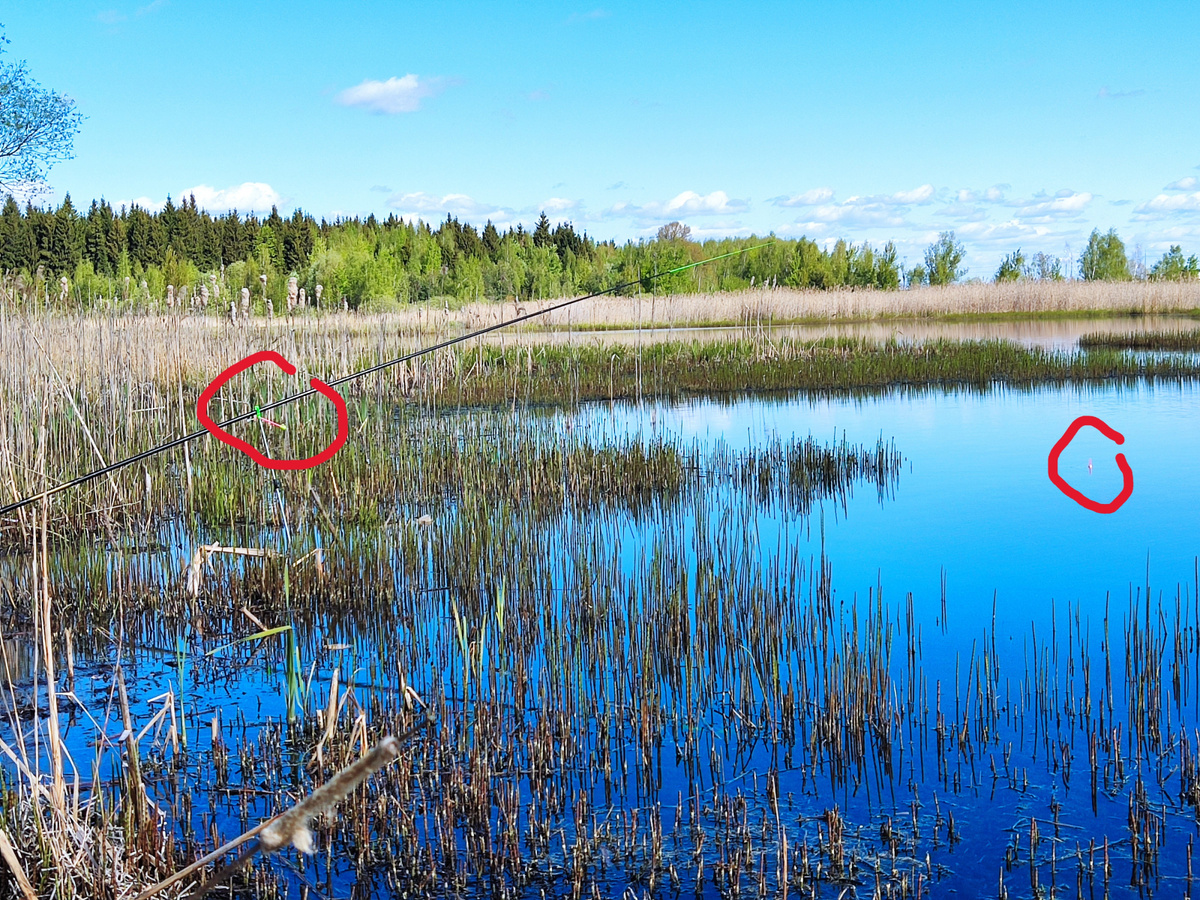 Исподтишка, но сфотографировал, а то никто не поверит.