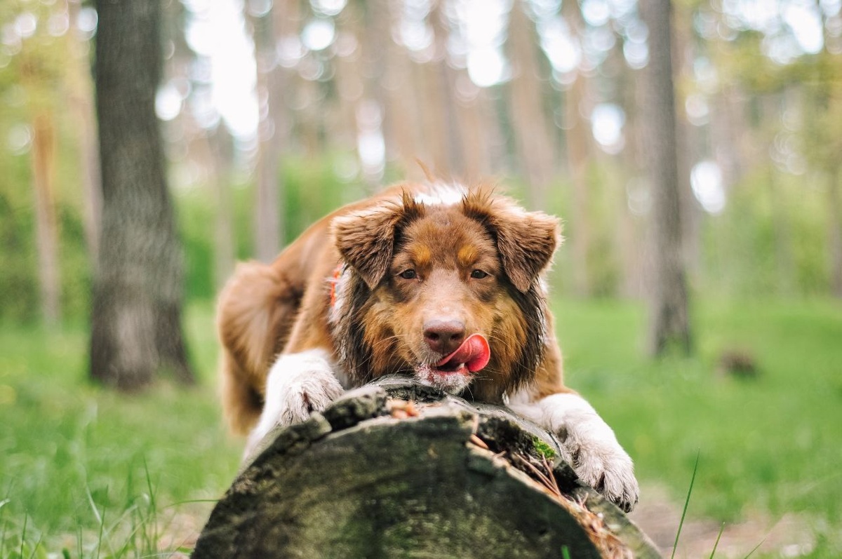    Алисия / Фото предоставлено ProGorodSamara