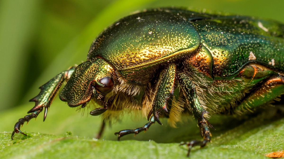 Фото взято из открытого доступа.