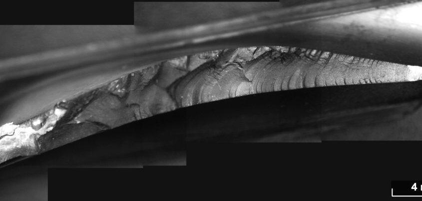 Изображение из свободного источника Яндекс.Картинки