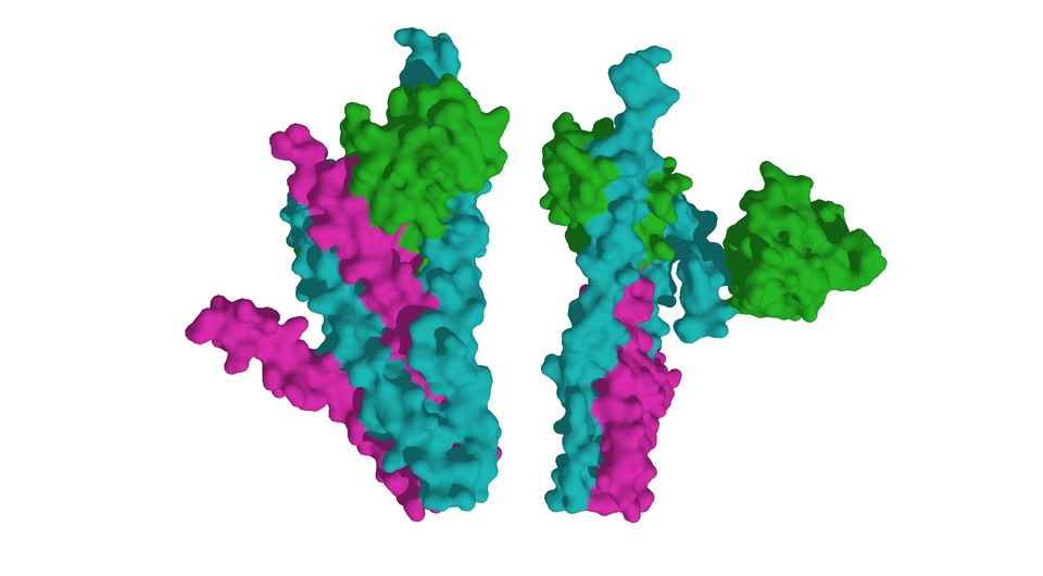   Ayacop / Wikimedia Commons / Public Domain