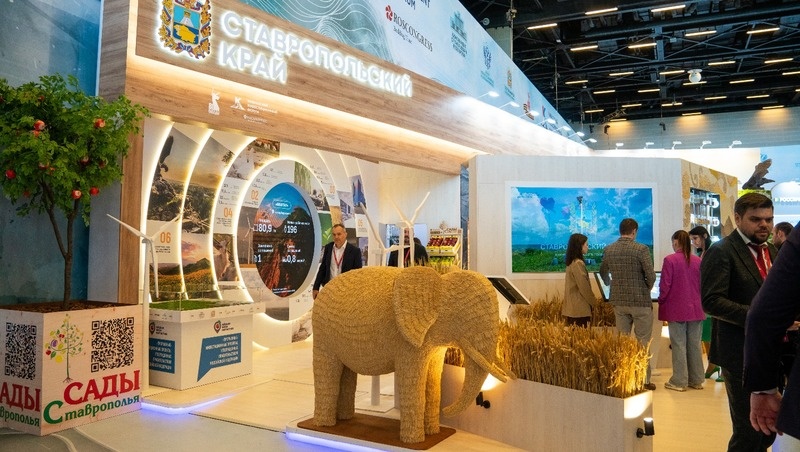    Организатором Кавказского инвестфорума стал фонд «Росконгресс» Фото: Александр Скрыпник / / ИА «Победа26»