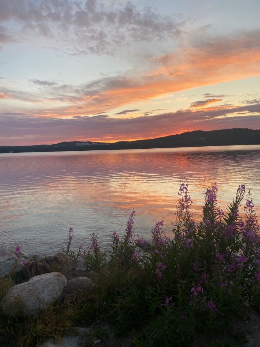 Источник: https://pin.it/6SJwvHYyU