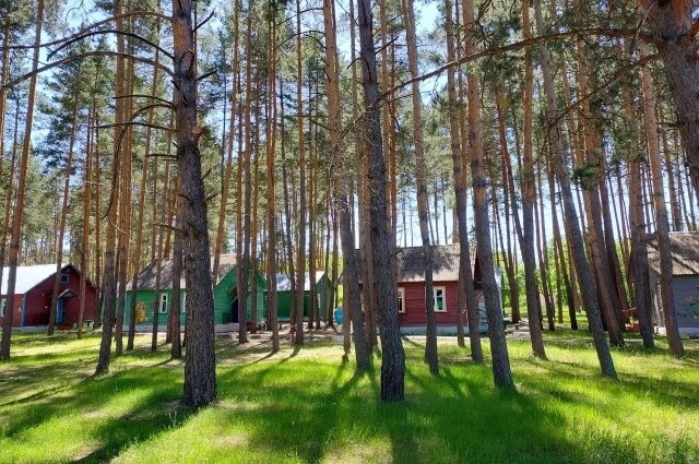    Около 15 тысяч детей отдохнут этим летом вот в таких же домиках по всему региону. Фото: АиФ/ Елизавета Миронова