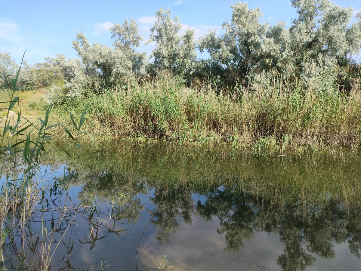 Вторая точка