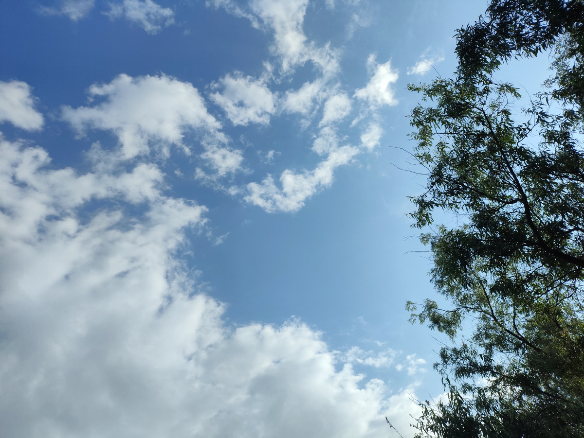 И небо более открытое